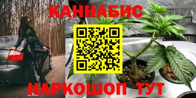 прущие грибы Сланцы