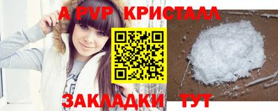 прущие грибы Сланцы