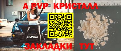 прущие грибы Сланцы