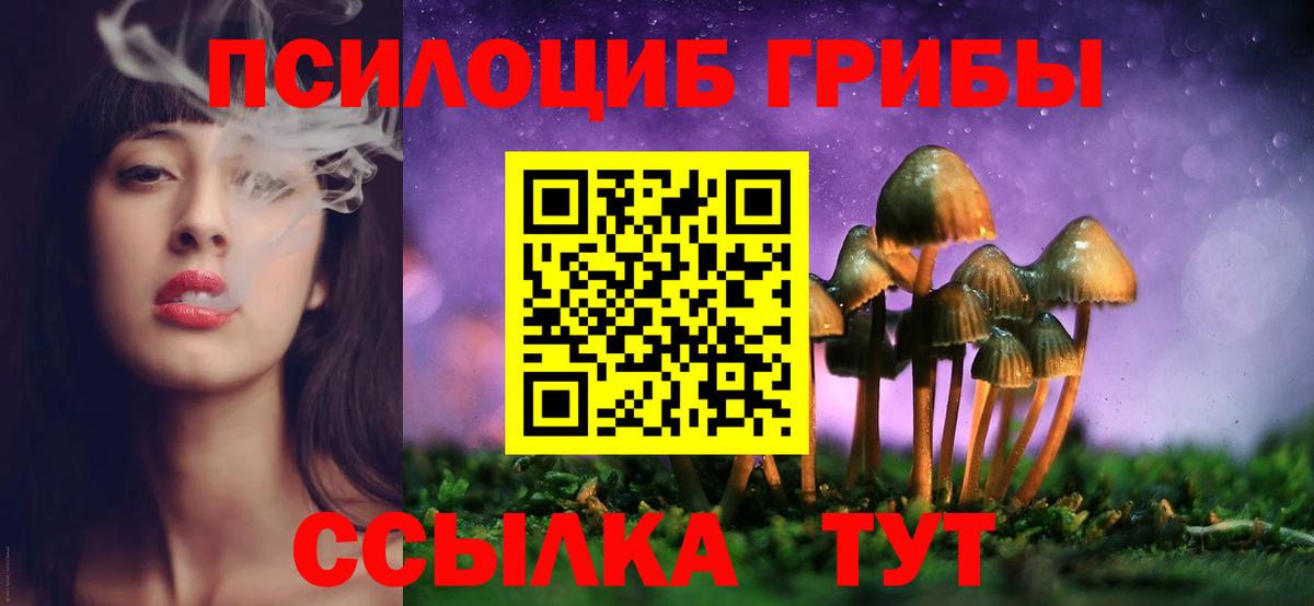 Псилоцибиновые грибы MAGIC MUSHROOMS  продажа наркотиков  Вход с VPN  Ноябрьск  Галлюциногенные грибы Cubensis 